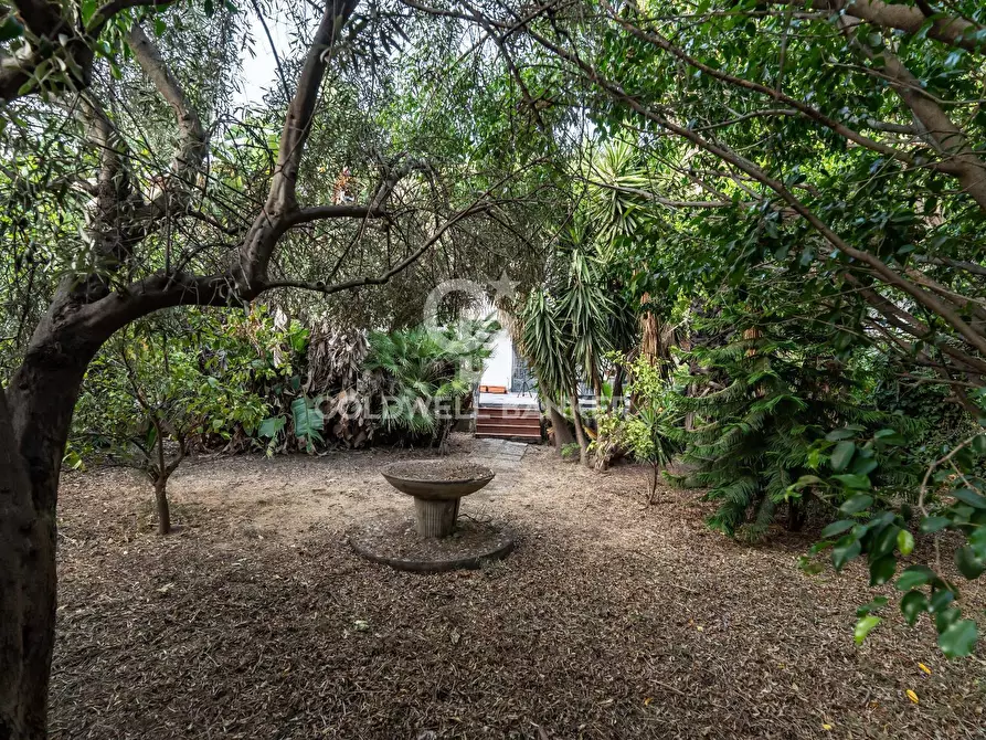 Immagine 83 di Villa in vendita  a Gravina Di Catania