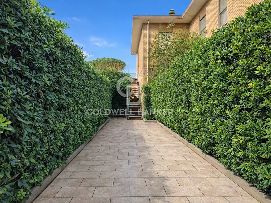 Immagine 9 di Appartamento in affitto  in Viale Mediterraneo 2 a Tarquinia