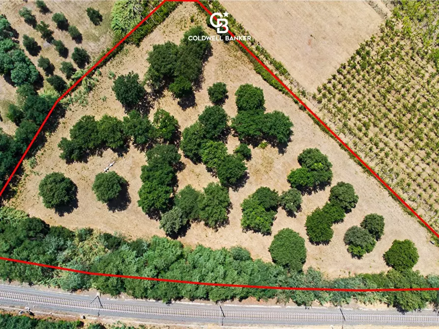 Immagine 4 di Terreno agricolo in vendita  in Via Delle Selve a Lanuvio