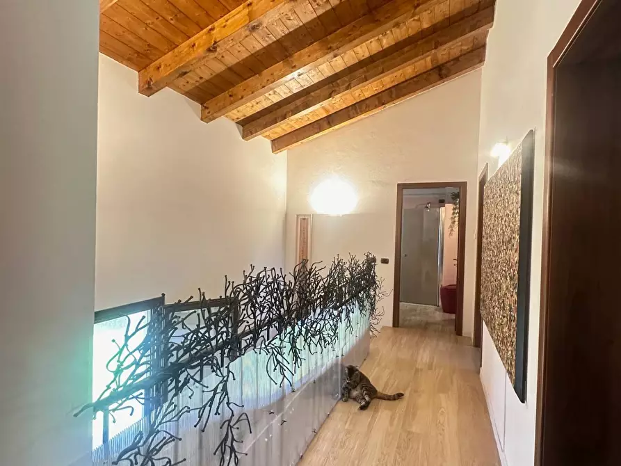 Immagine 24 di Casa indipendente in vendita  a San Giorgio Bigarello