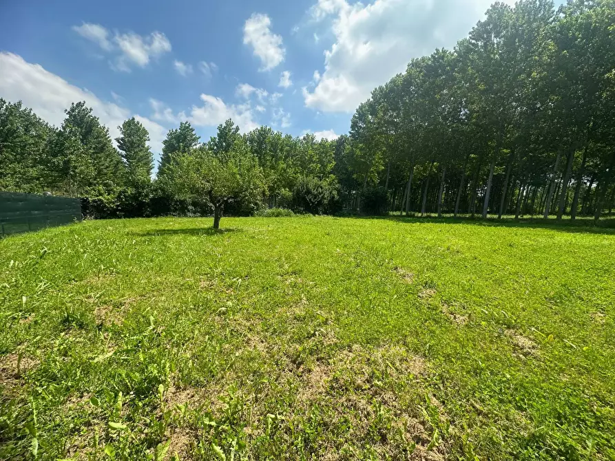 Immagine 51 di Casa indipendente in vendita  a San Giorgio Bigarello