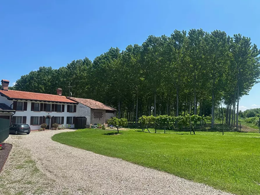 Immagine 60 di Casa indipendente in vendita  a San Giorgio Bigarello