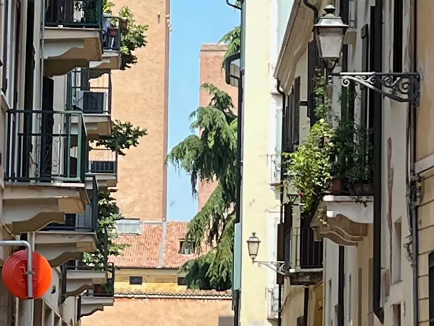 Immagine 46 di Appartamento in vendita  a Mantova