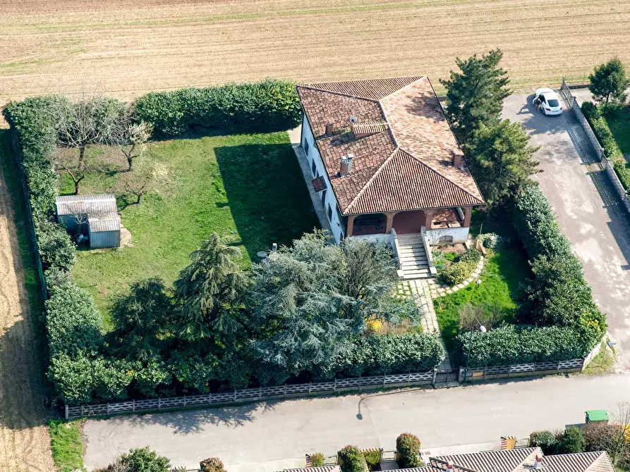 Immagine 3 di Villa in vendita  a Commessaggio