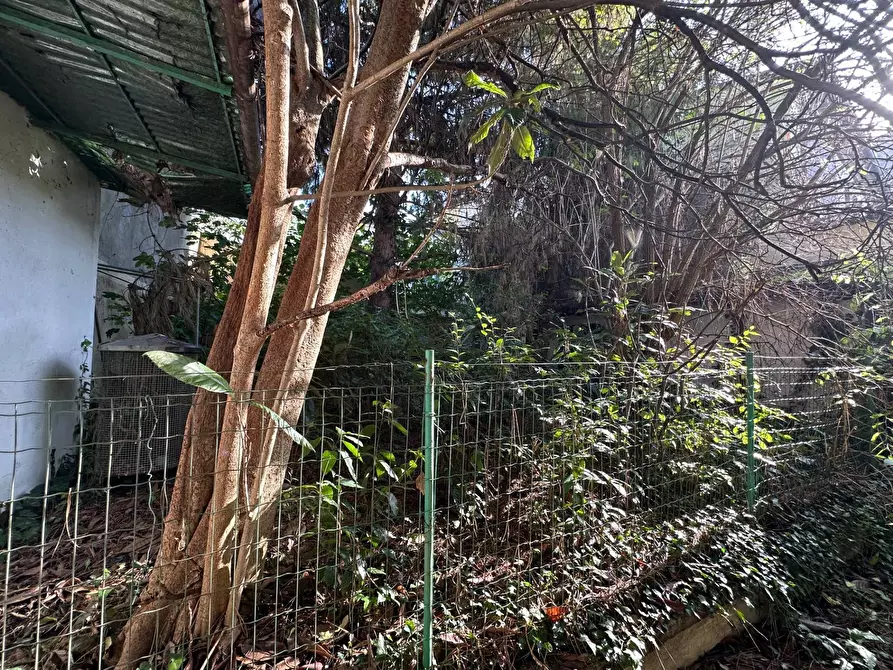 Immagine 17 di Casa indipendente in vendita  a Mantova