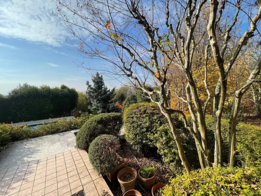 Immagine 47 di Villa in vendita  a Volta Mantovana