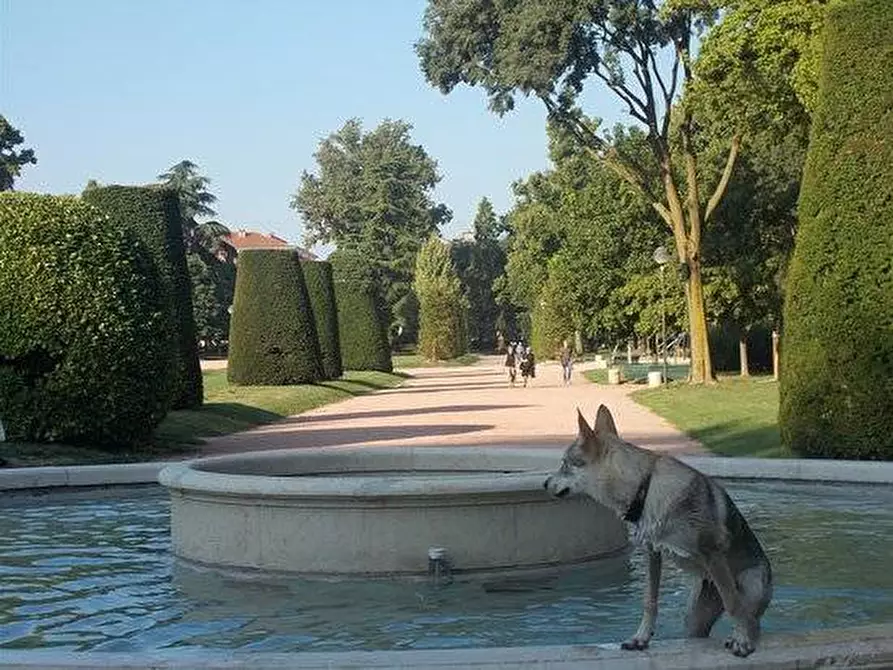 Immagine 18 di Appartamento in vendita  a Mantova