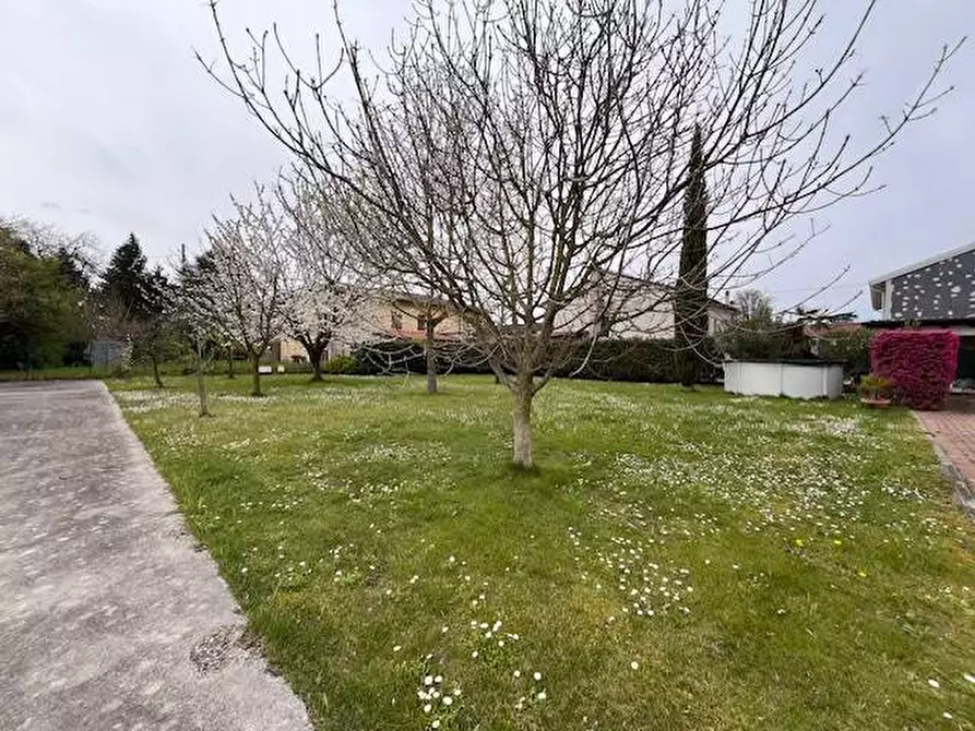 Immagine 4 di Villa in vendita  a Roncoferraro