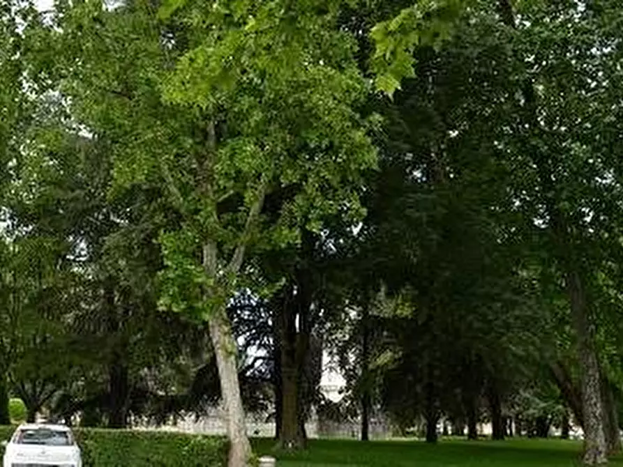 Immagine 6 di Appartamento in vendita  a Mantova