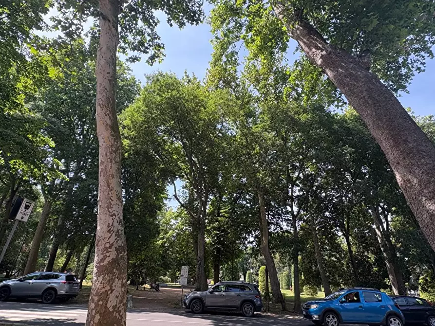 Immagine 9 di Appartamento in vendita  a Mantova