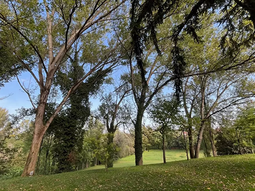 Immagine 6 di Casa indipendente in affitto  a Mantova