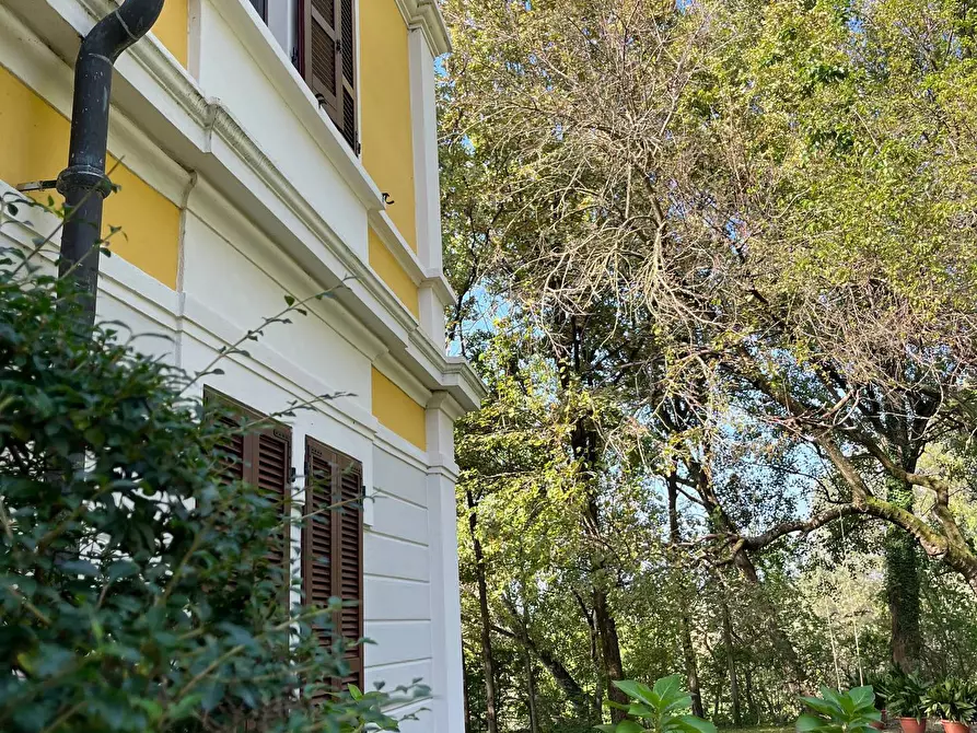 Immagine 34 di Casa indipendente in affitto  a Mantova