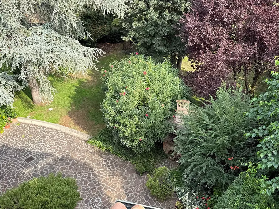 Immagine 2 di Villa in vendita  a Mantova