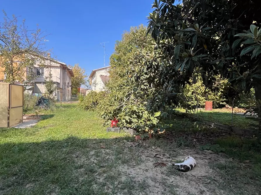 Immagine 8 di Casa semindipendente in vendita  a Villimpenta