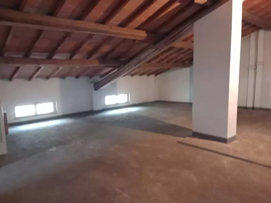 Immagine 17 di Villa in vendita  a Mantova