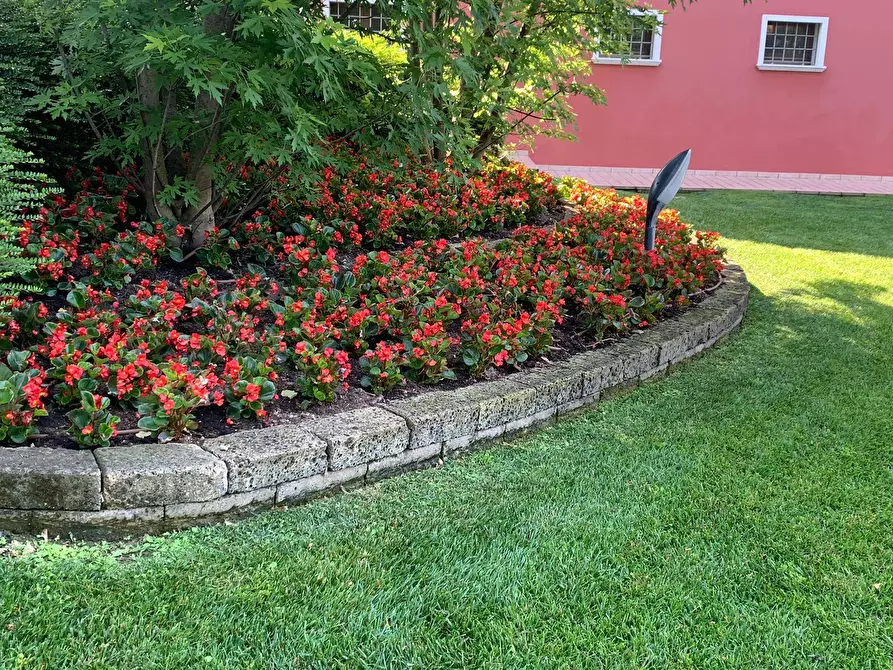 Immagine 3 di Villa in vendita  a Volta Mantovana