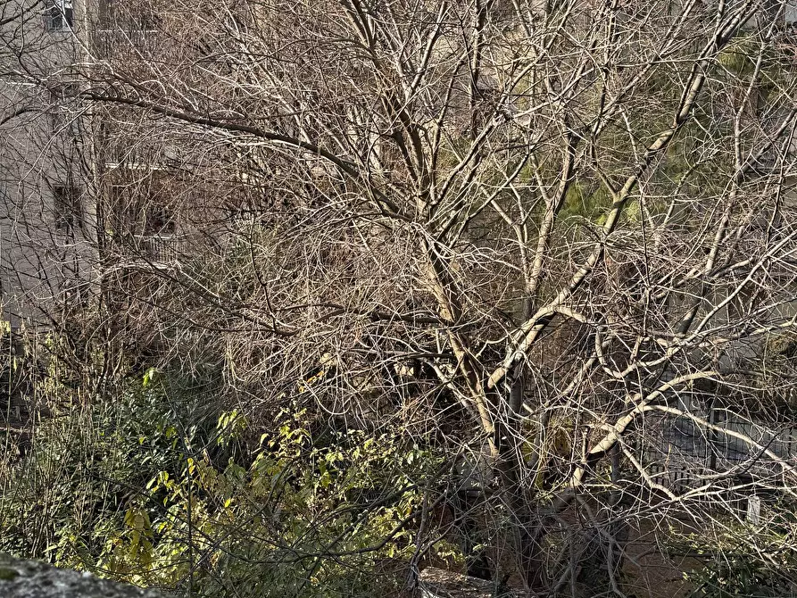 Immagine 14 di Casa indipendente in vendita  a Mantova