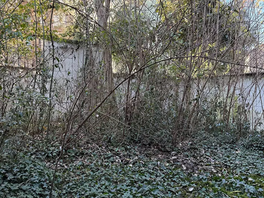 Immagine 4 di Appartamento in vendita  a Mantova