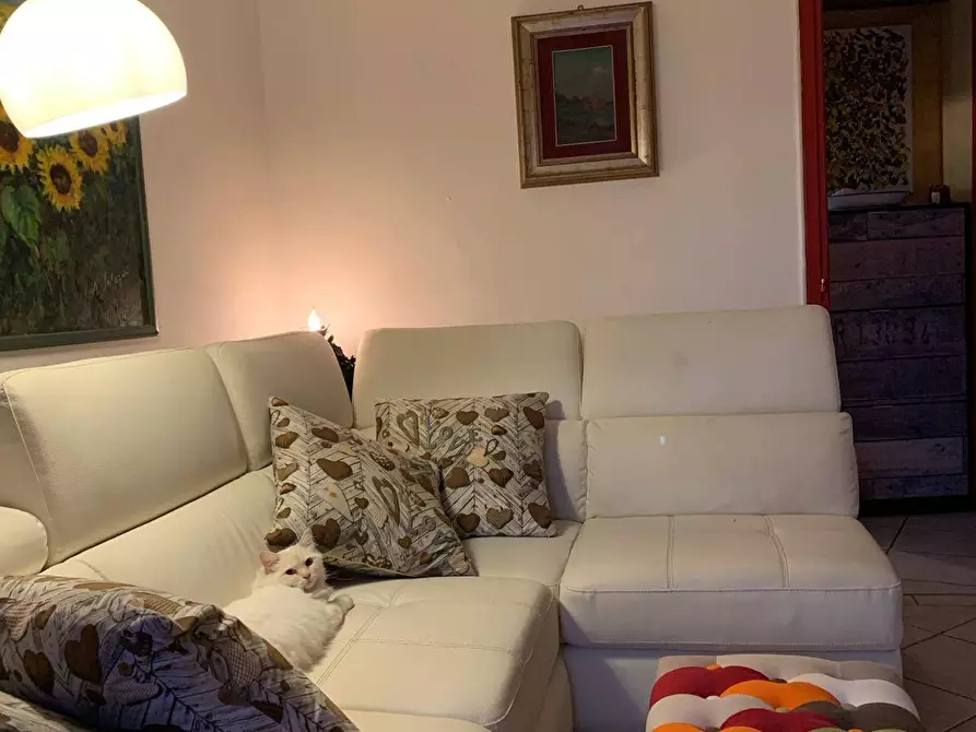 Immagine 15 di Casa indipendente in vendita  a Mantova