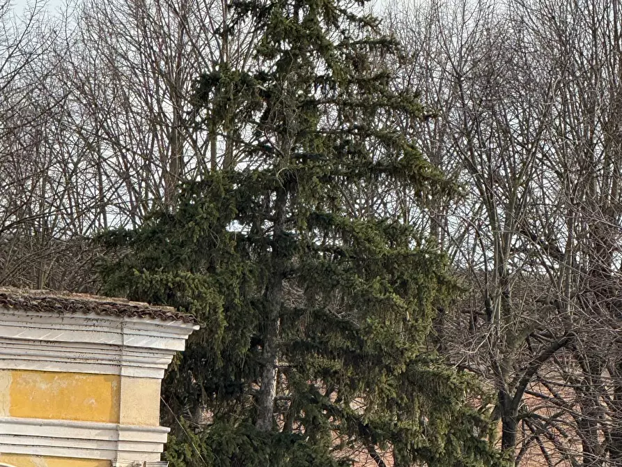 Immagine 1 di Appartamento in vendita  a Mantova