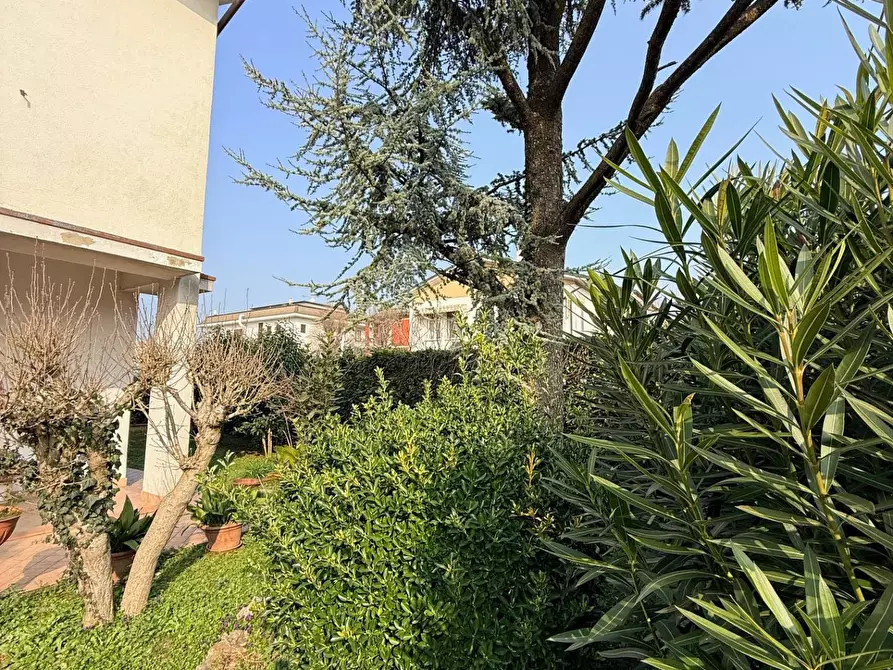 Immagine 7 di Casa indipendente in vendita  a Casalmoro