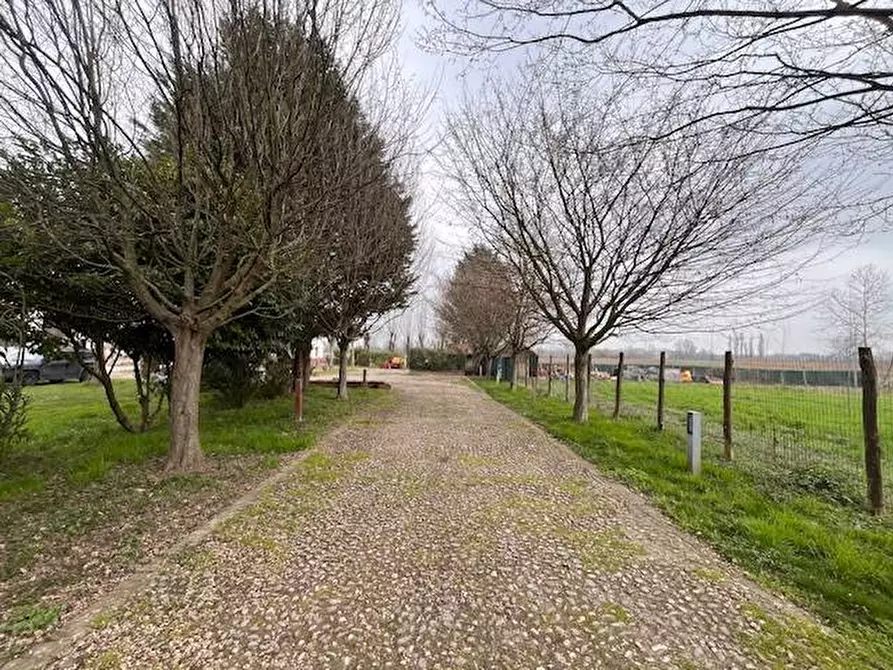 Immagine 2 di Locale commerciale in vendita  a Goito