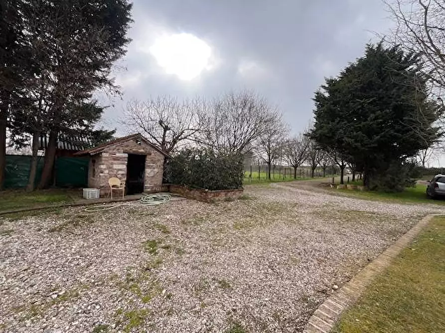 Immagine 4 di Locale commerciale in vendita  a Goito