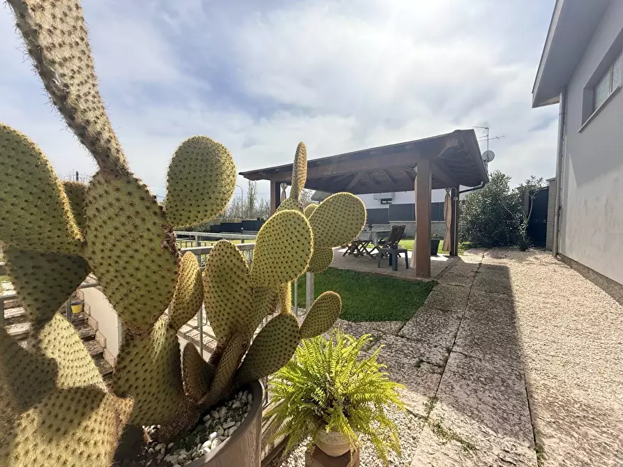 Immagine 58 di Casa indipendente in vendita  a Casalmoro