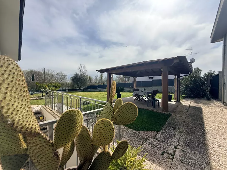 Immagine 59 di Casa indipendente in vendita  a Casalmoro