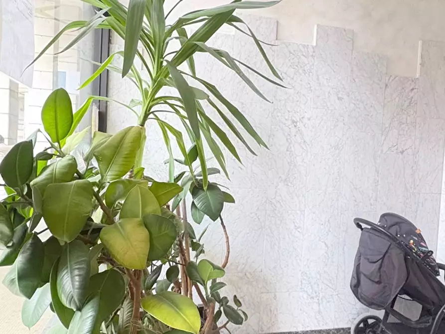 Immagine 1 di Appartamento in vendita  a Mantova