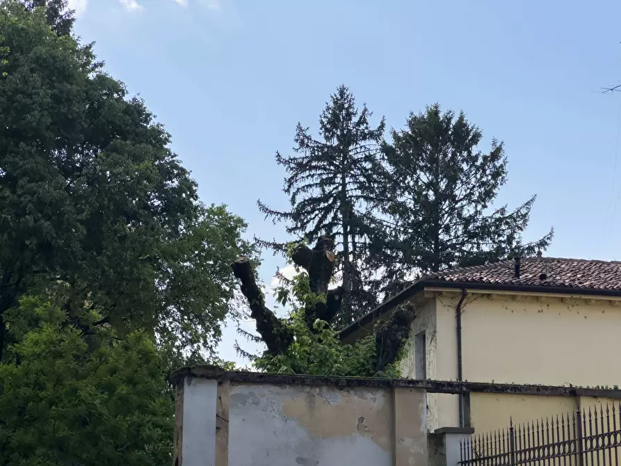 Immagine 24 di Appartamento in vendita  a Mantova
