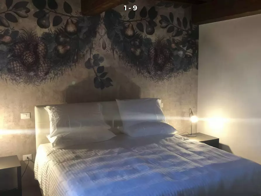 Immagine 11 di Villa in vendita  a Sabbioneta