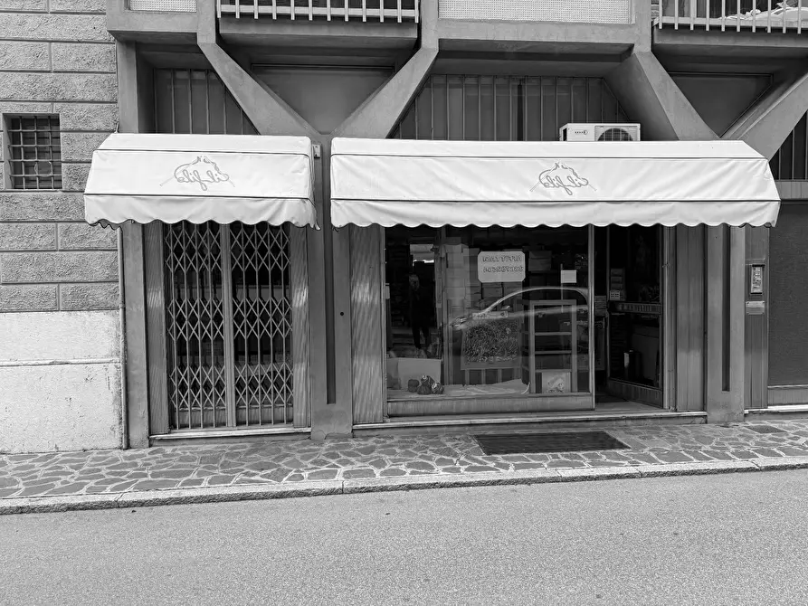 Immagine 10 di Locale commerciale in affitto  a Mantova