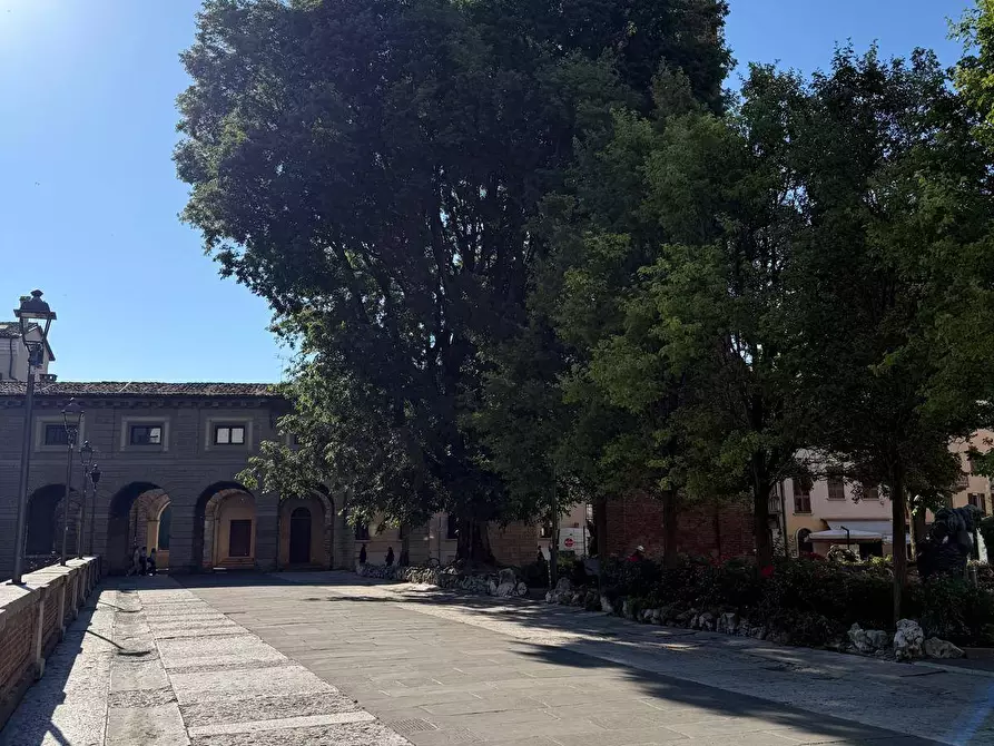 Immagine 12 di Appartamento in vendita  a Mantova