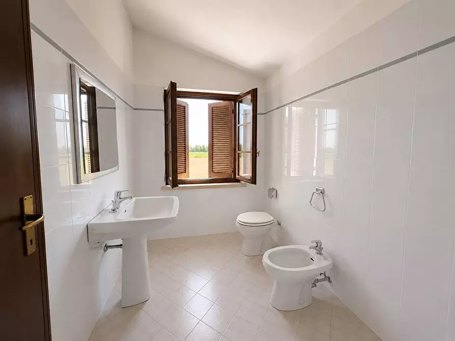 Immagine 28 di Villa in vendita  a Commessaggio