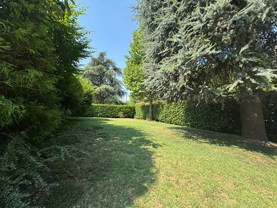 Immagine 6 di Villa in vendita  a Commessaggio