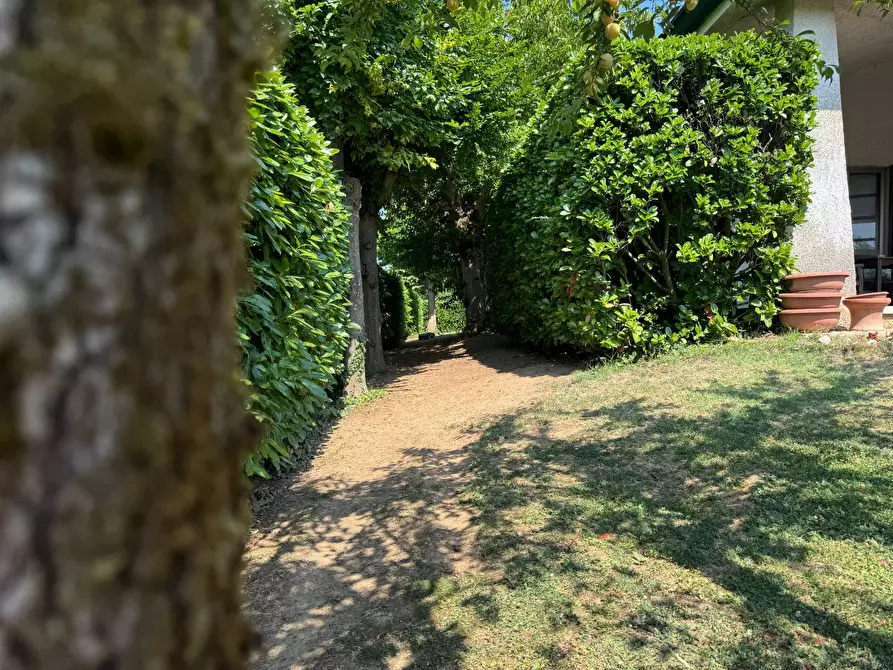 Immagine 44 di Villa in vendita  a Commessaggio