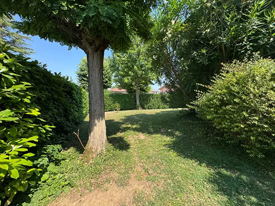 Immagine 45 di Villa in vendita  a Commessaggio