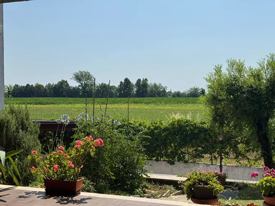 Immagine 47 di Villa in vendita  a Commessaggio
