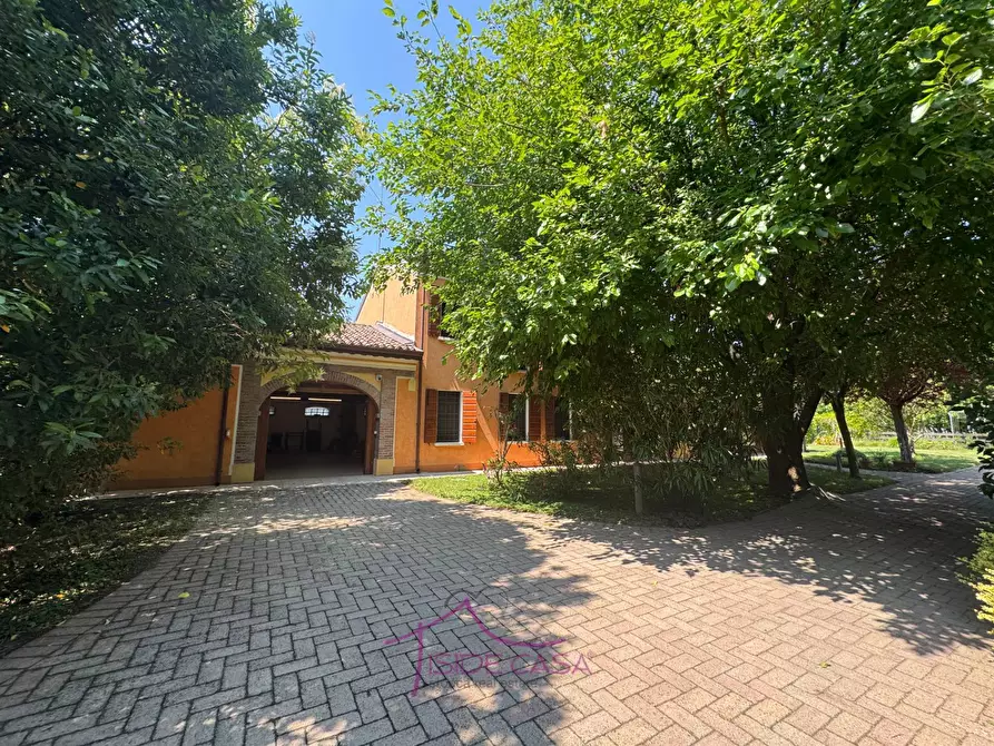 Immagine 5 di Casa indipendente in vendita  a Roncoferraro