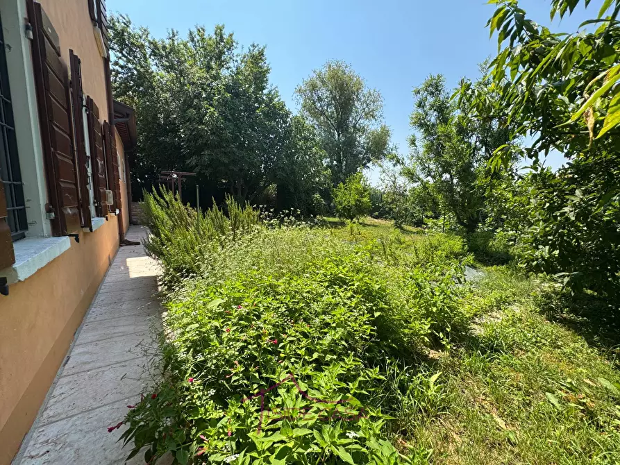 Immagine 17 di Casa indipendente in vendita  a Roncoferraro
