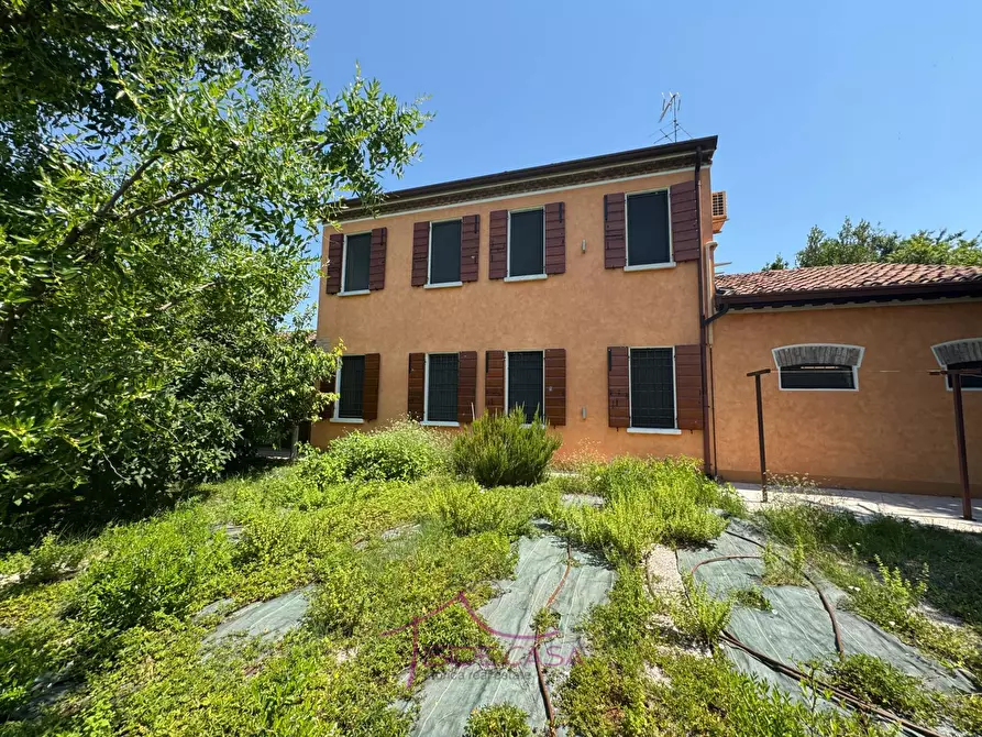 Immagine 18 di Casa indipendente in vendita  a Roncoferraro
