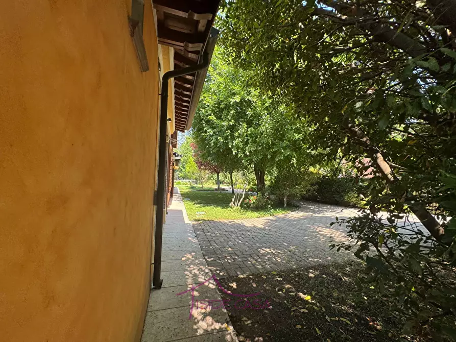 Immagine 19 di Casa indipendente in vendita  a Roncoferraro