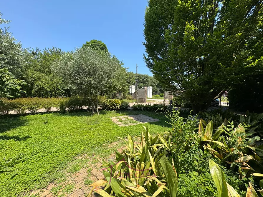 Immagine 47 di Casa indipendente in vendita  a Roncoferraro
