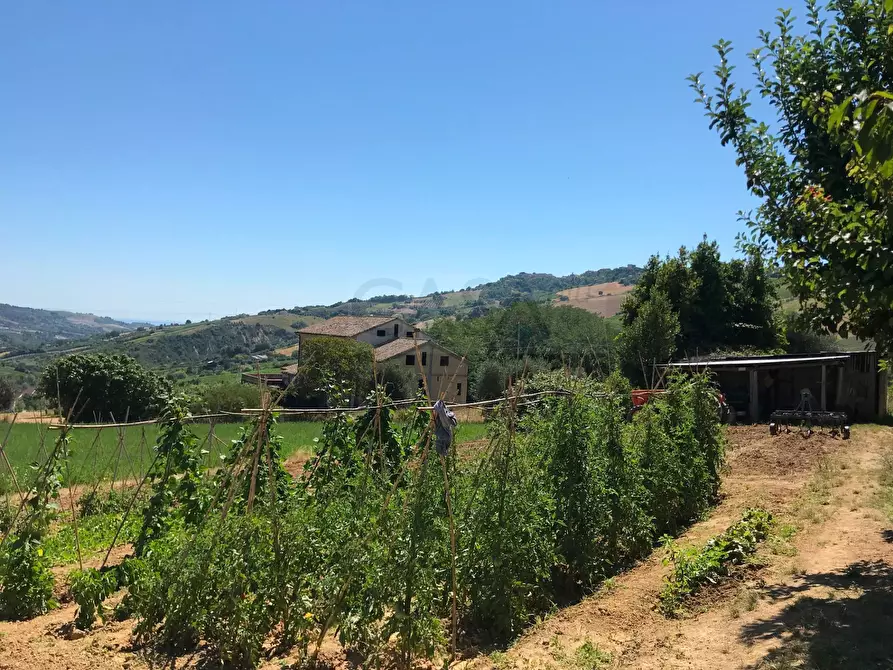 Immagine 20 di Rustico / casale in vendita  in Contrada madonna delle piane a Acquaviva Picena