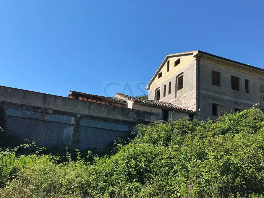 Immagine 4 di Rustico / casale in vendita  in Contrada madonna delle piane a Acquaviva Picena