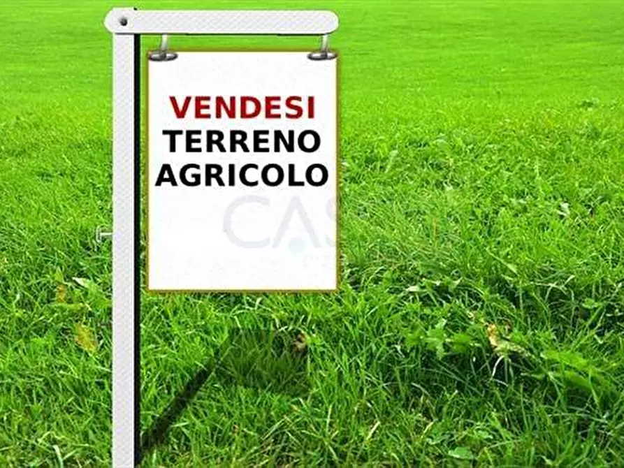 Immagine 1 di Terreno agricolo in vendita  in Contrada  San Savino a Ripatransone