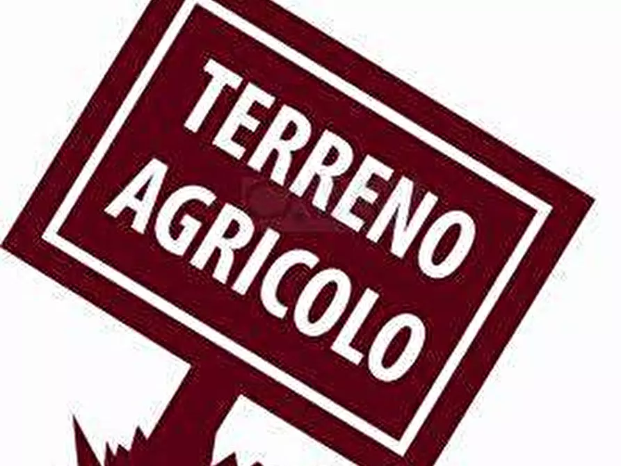 Immagine 2 di Terreno agricolo in vendita  in Contrada Cese a Castel Di Lama