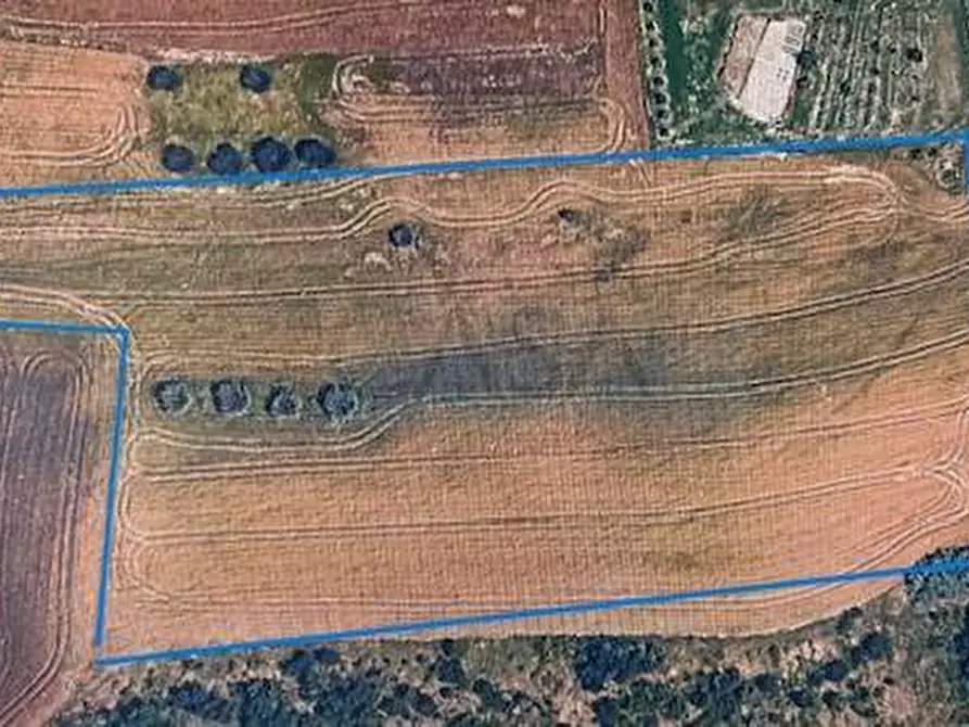 Immagine 3 di Terreno agricolo in vendita  in Contrada Cese a Castel Di Lama