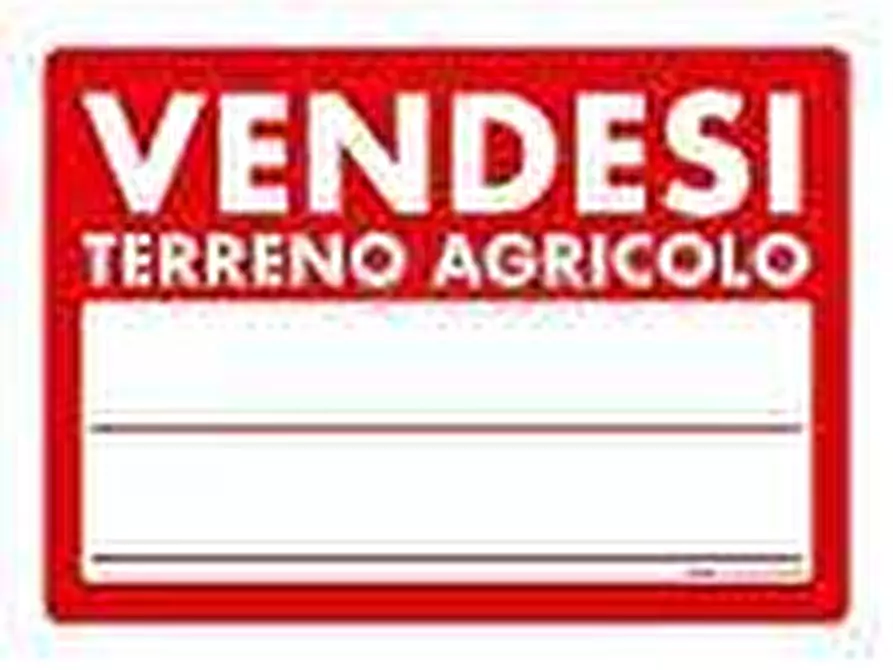 Immagine 6 di Terreno agricolo in vendita  in Contrada Cese a Castel Di Lama